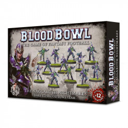 Équipe d'Elfes Noirs - Blood Bowl (Naggaroth Nightmares)