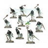 Hordes Raclechaînes - NightHaunt (Chainrasp Hordes)